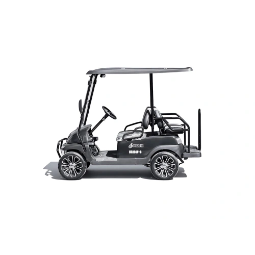 Гольфкар HiSUN HS2DGF-3 2593244