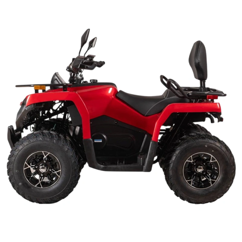 Квадроцикл BIZON YK250 Lux EFI 2591803