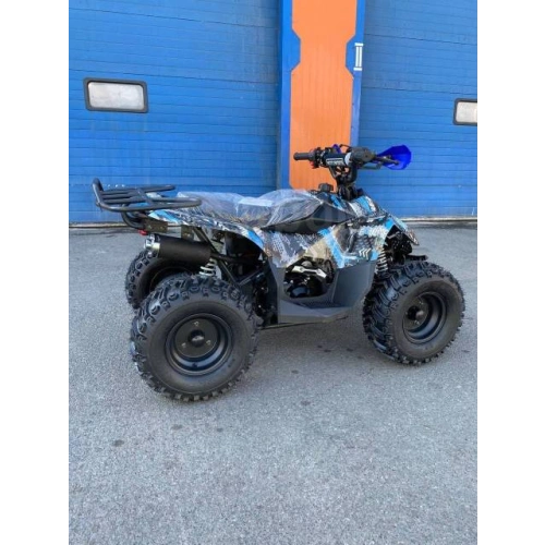 Квадроцикл RAPTOR New 125 2587031