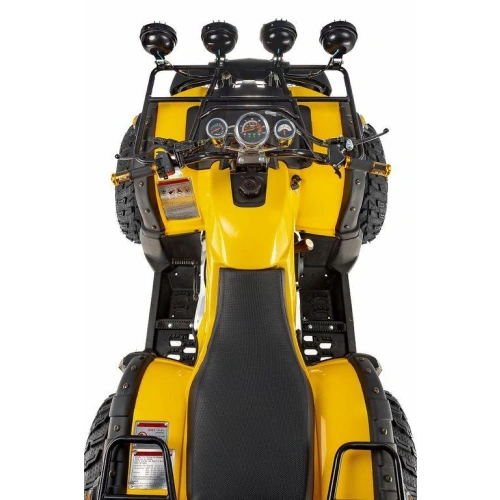 Квадроцикл RAPTOR Max Pro 250 (жёлтый/чёрный) (2024) 248056