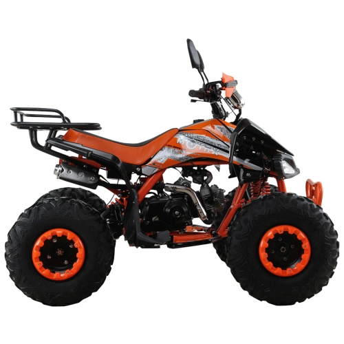 Квадроцикл MOTAX ATV T-Rex Super LUX 125 cc 2558708
