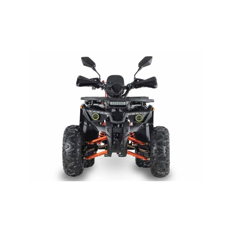 Квадроцикл GRIZZLY Aerox 125
