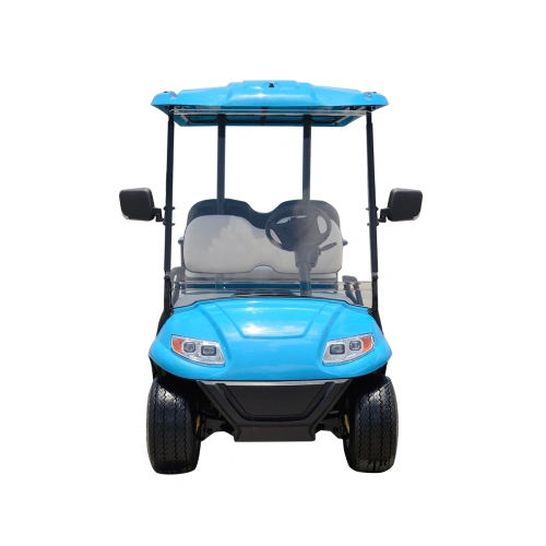 Гольфкар ROBINSON 2+2 2595118