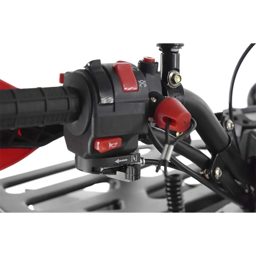 Квадроцикл WELS Thunder Evo X 250428