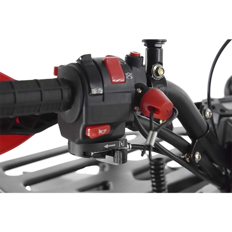Квадроцикл WELS Thunder Evo X 250428
