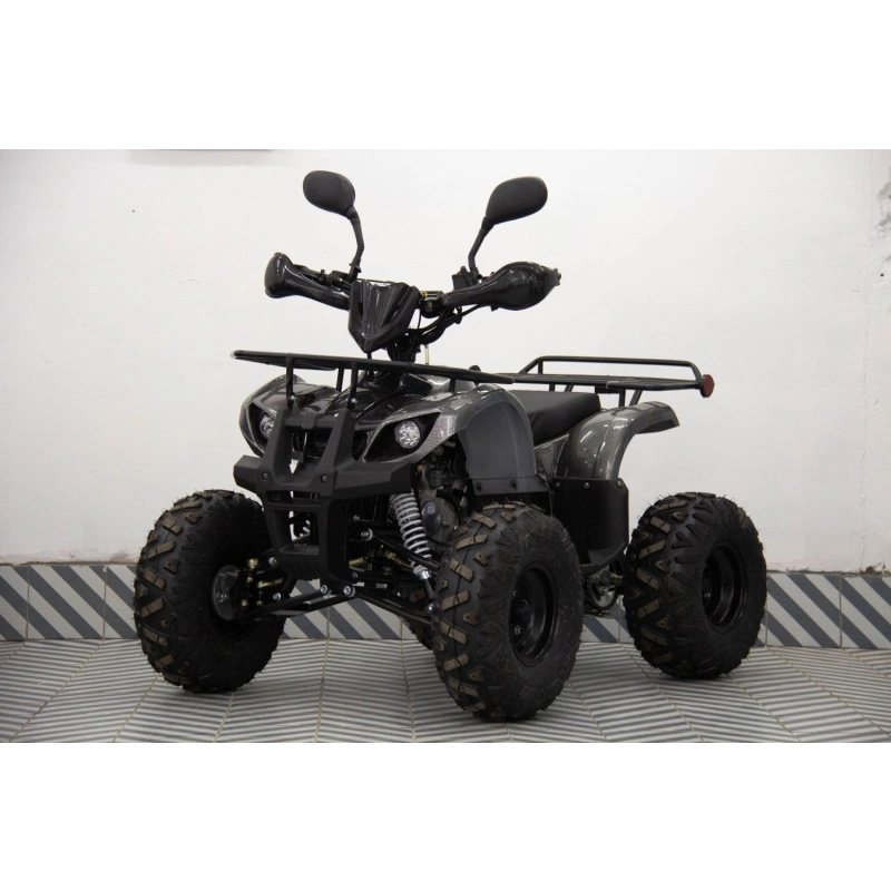 Квадроцикл UNIVERSAL ATV 125 TM Classic 2586896