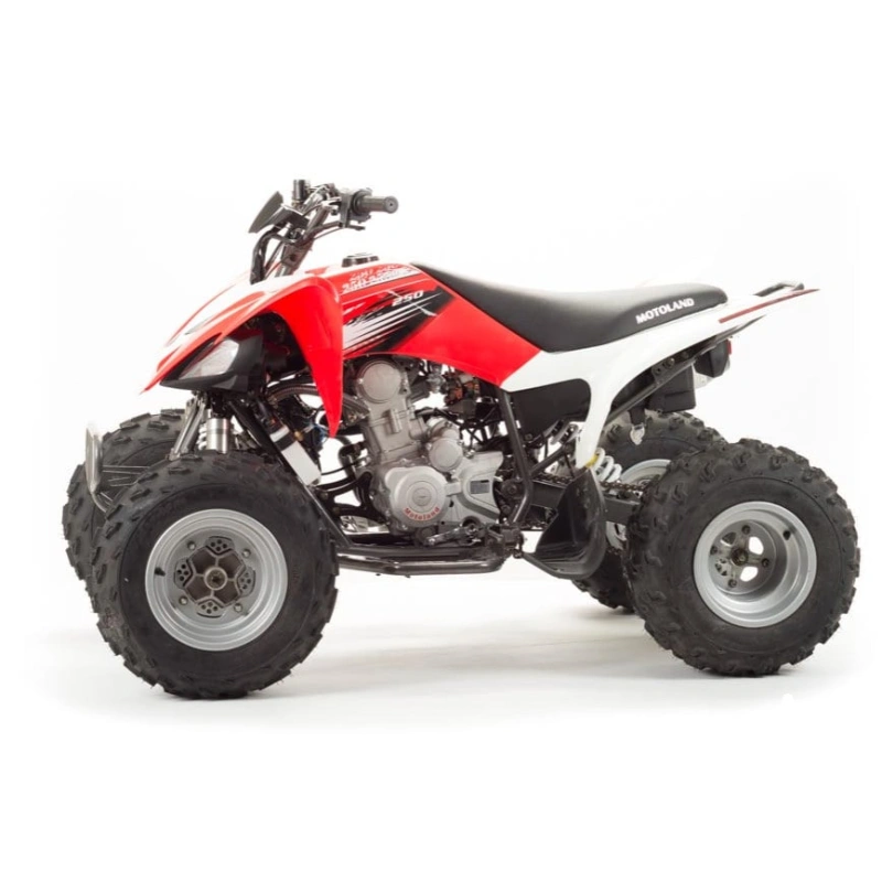 Квадроцикл MOTOLAND 125S (2020 Г.) 248146