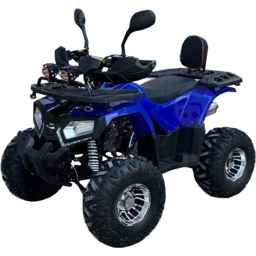 Квадроцикл GRIZZLY Aerox 125cc New 2022 2556371