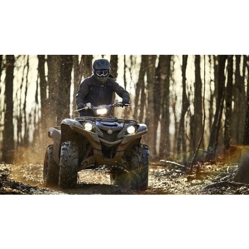 Квадроцикл YAMAHA Grizzly 700 EPS STD (ПСМ) 2560520