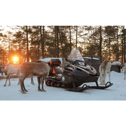 Снегоход РУССКАЯ МЕХАНИКА Тайга Patrul 550 SWT 9630