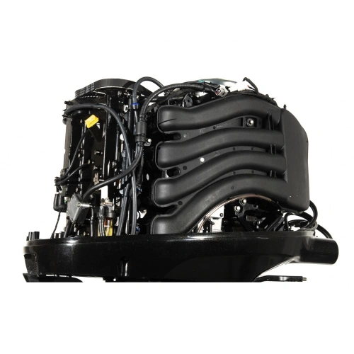 4х-тактный лодочный мотор PARSUN F115FEX-T EFI 2587502