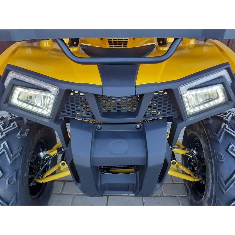 Квадроцикл MOTOLAND ATV 200 Wild Track 248051