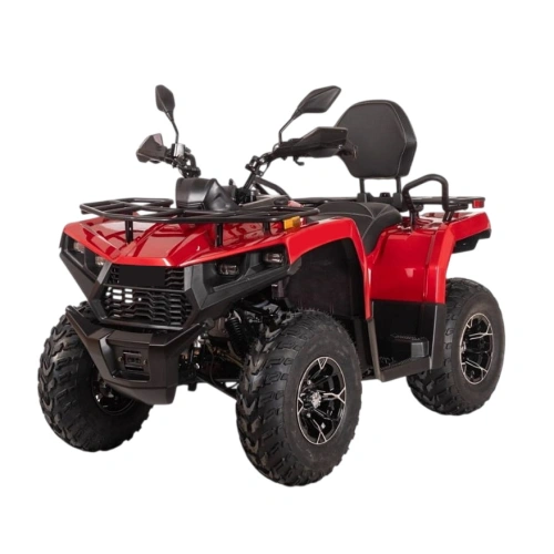 Квадроцикл BIZON YK250 Lux EFI 2591803