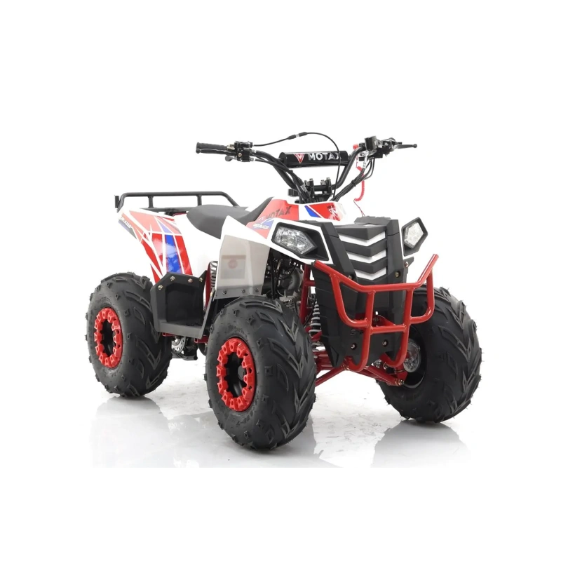 Квадроцикл MOTAX Grizlik A110