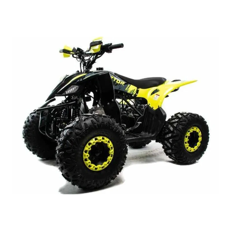 Квадроцикл MOTOLAND 125 Raptor 2591794