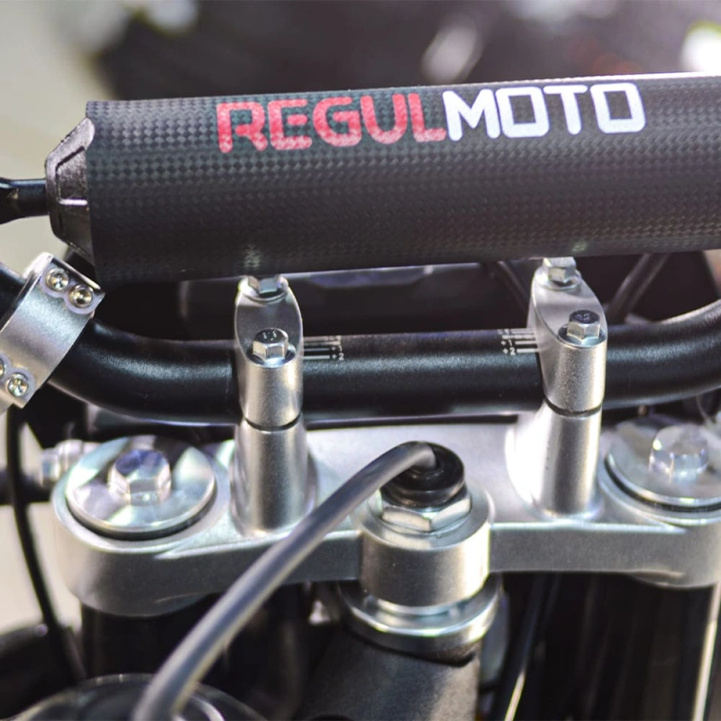 Мотоцикл кроссовый эндуро REGULMOTO Sport-003 PR 300 2588561