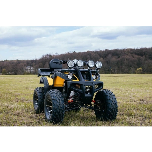 Квадроцикл TIGER Max Grade 300 248059