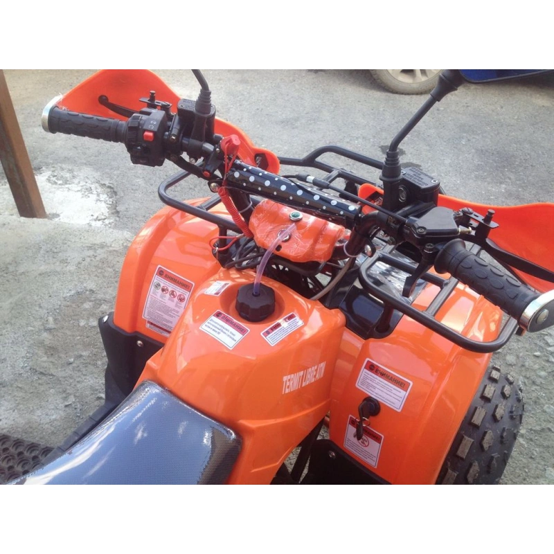 Квадроцикл ATV Termit Libre 2558239