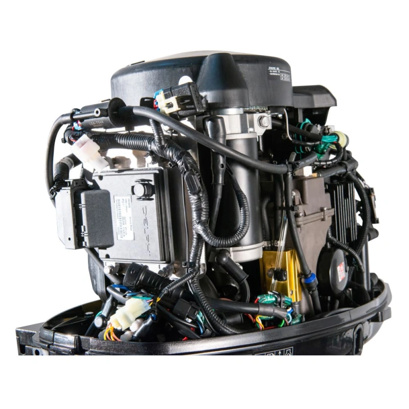 4х-тактный лодочный мотор GOLFSTREAM F115FEX-T EFI L 2577541