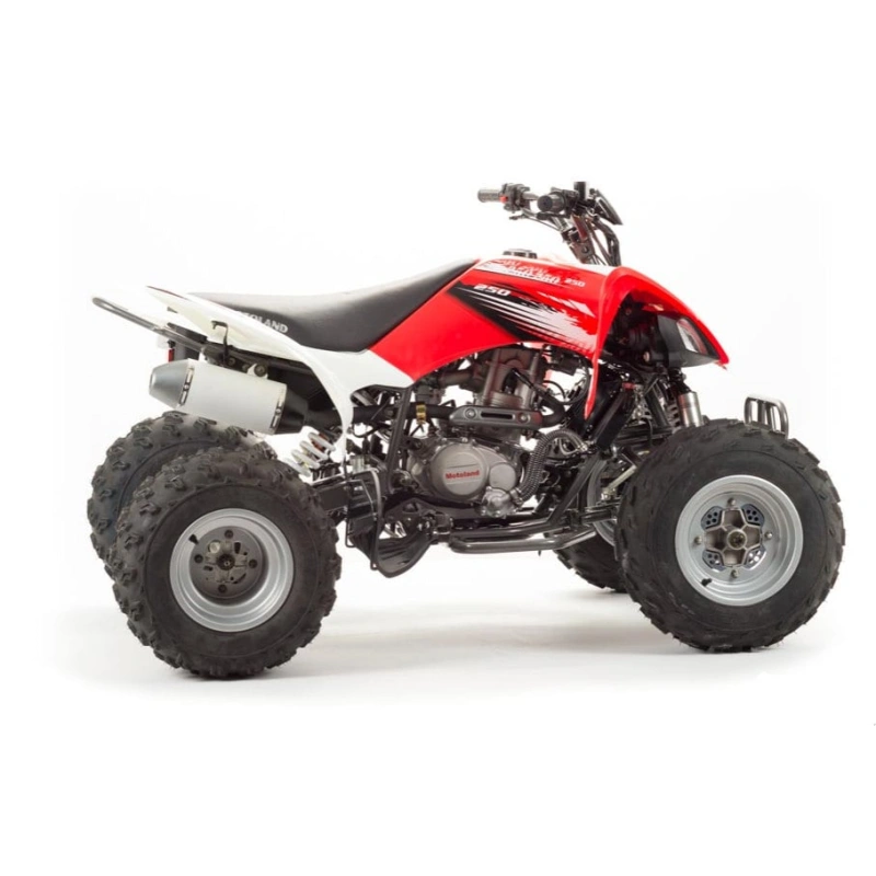 Квадроцикл MOTOLAND 125S (2020 Г.) 248146