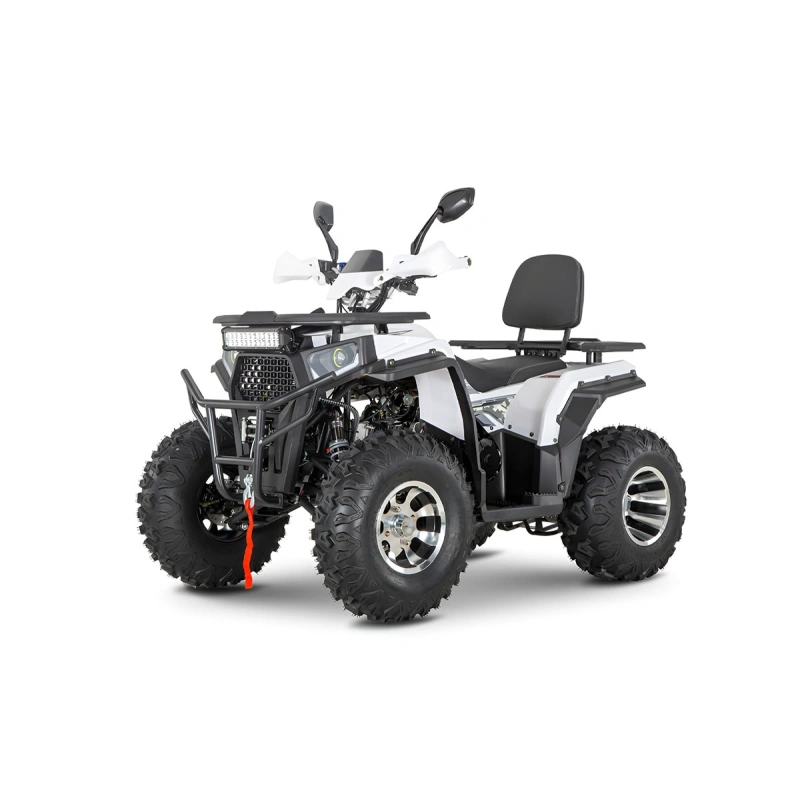 Квадроцикл YACOTA Viking 200 Pro 2590760