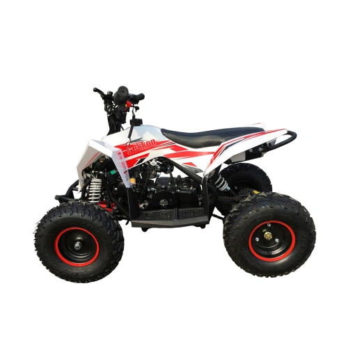 Квадроцикл MOTAX Gekkon 90cc 2587426