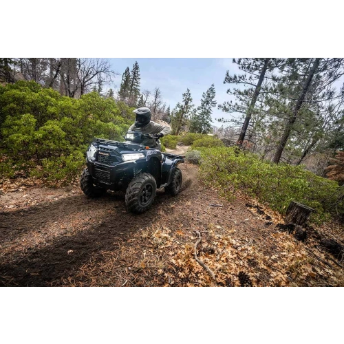 Квадроцикл KAWASAKI Brute Force 750 EPS (2024) (ПСМ) 2587386