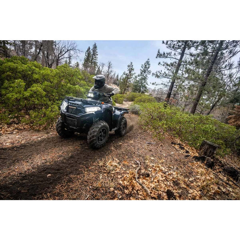 Квадроцикл KAWASAKI Brute Force 750 EPS (2024) (ПСМ) 2587386