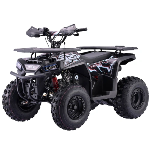Квадроцикл BSE XT-1U Black 2592084