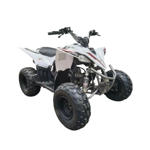 Квадроцикл MIKILON Rapide 120 EFI 2591659