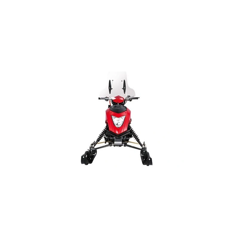 Снегоход REGULMOTO Raccoon разборный 10365