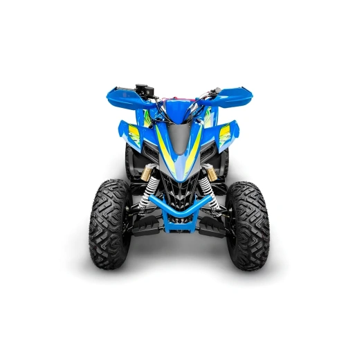 Квадроцикл RACER Typhoon 250 2591520
