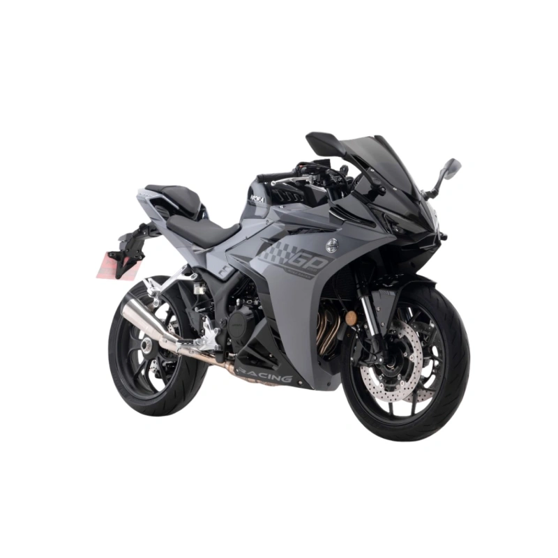 Мотоцикл GP250