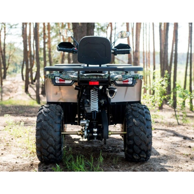 Квадроцикл YAMAHA Shark 300cc 2556269