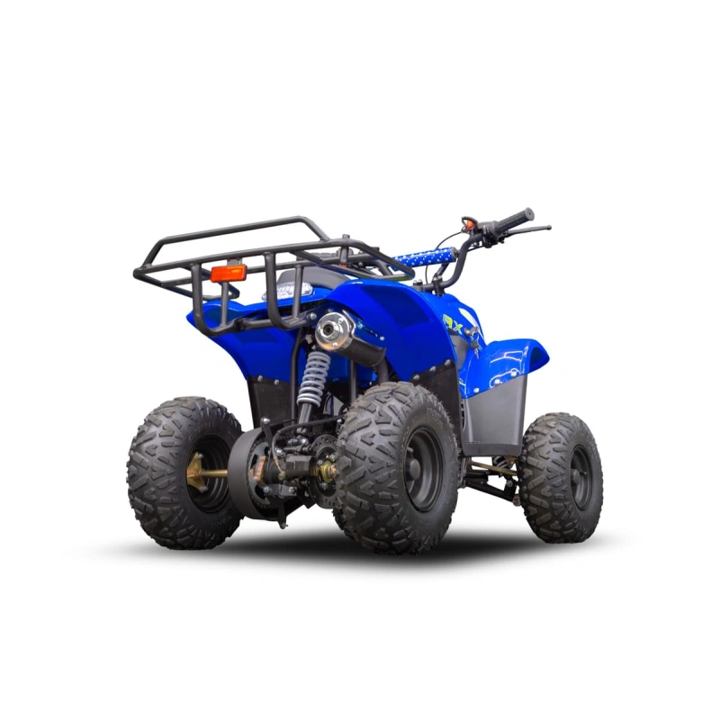 Квадроцикл TIGER 150 Universal RX 2587055