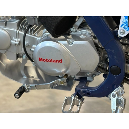 Питбайк MOTOLAND NX125 19/16
