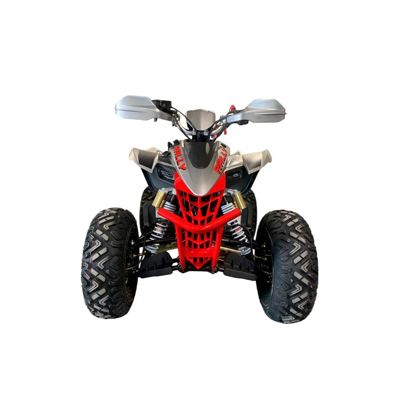 Квадроцикл MOTOLAND Rally 250