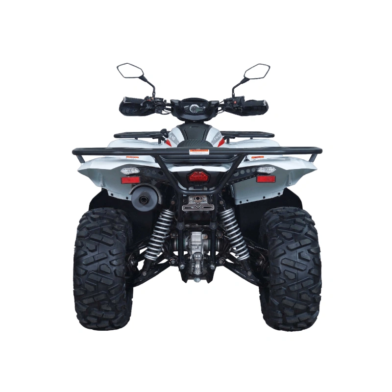Квадроцикл ACCESS AMX600 Long Base (ПСМ) 2569690
