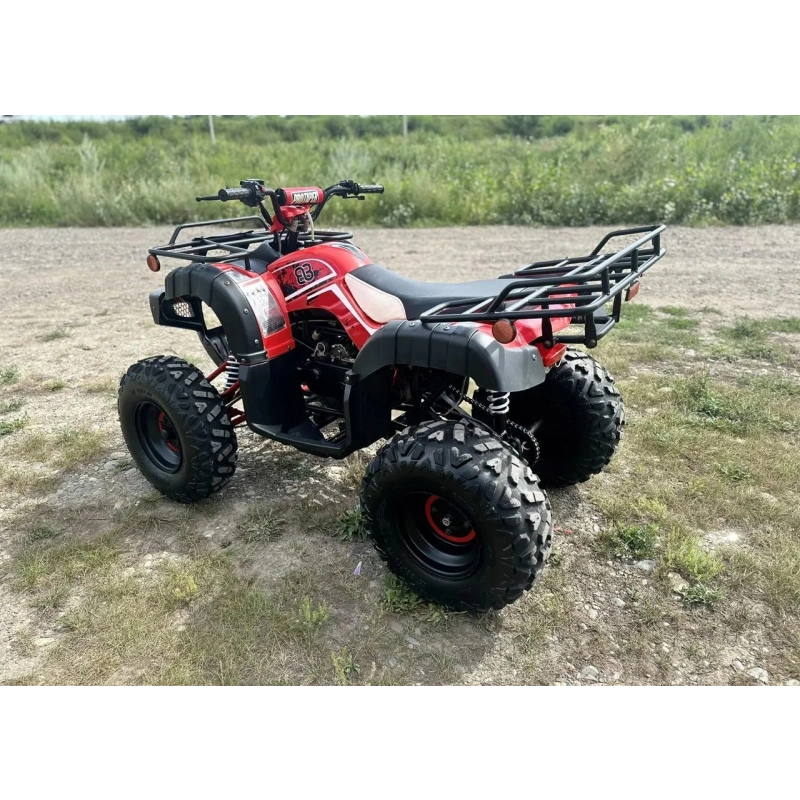 Квадроцикл RAPTOR Madman 200 All 2587024