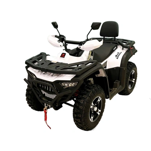 Квадроцикл BASHAN Explorer 300 Winch 2592073