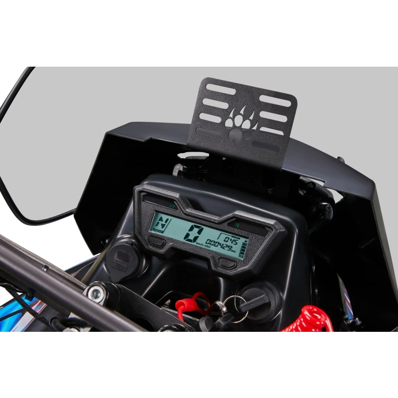 Снегоход IRBIS SF300