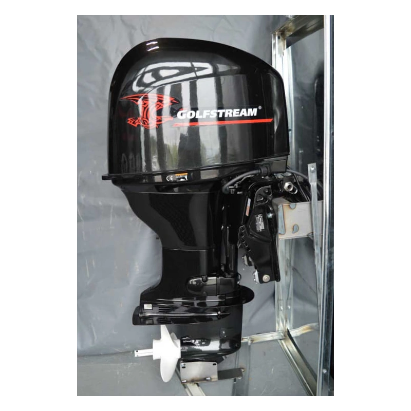 4х-тактный лодочный мотор GOLFSTREAM F60FEL-T EFI 2577279