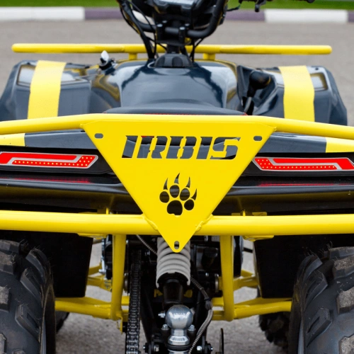 Квадроцикл IRBIS ATV 125