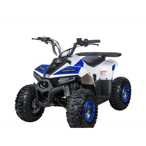 Квадроцикл YACOTA Raposa Pro Sport 2591936