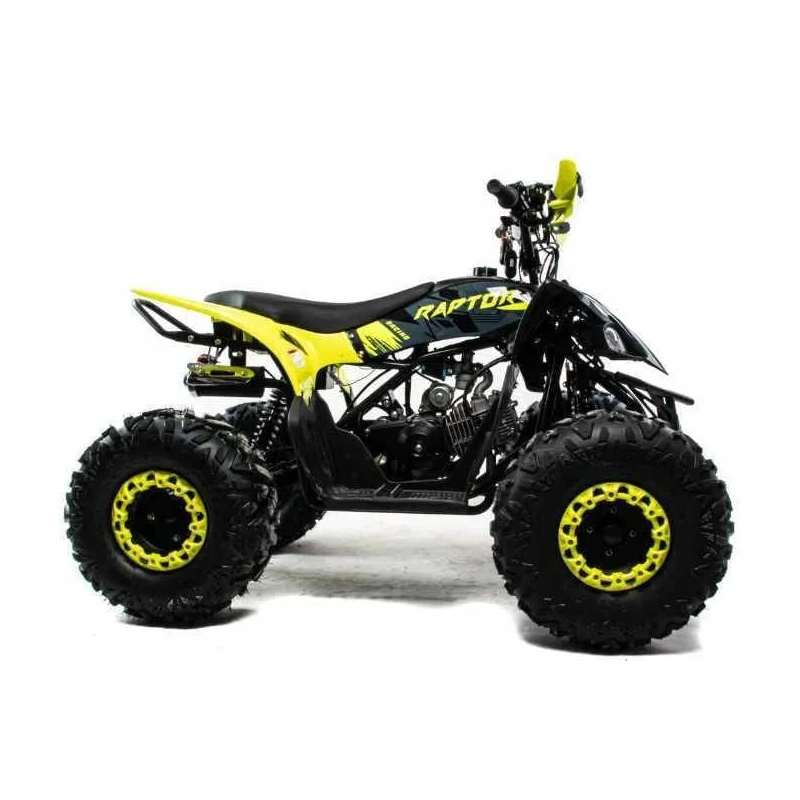 Квадроцикл MOTOLAND 125 Raptor 2591794