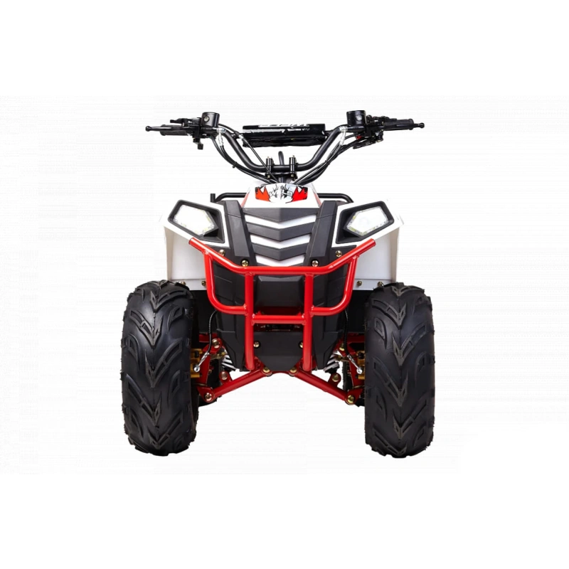 Квадроцикл WELS Thunder Evo M детский