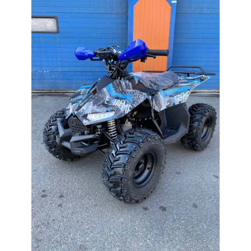 Квадроцикл RAPTOR New 125 2587031