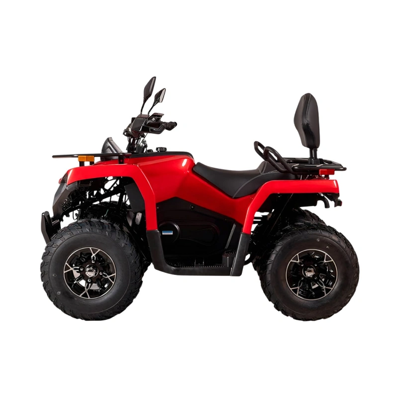 Квадроцикл BIZON YK200 Basic Carb