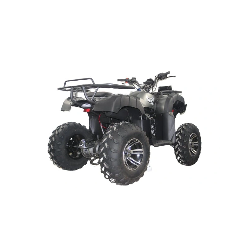 Квадроцикл ROCKOT Hammer 200 Lux 248106