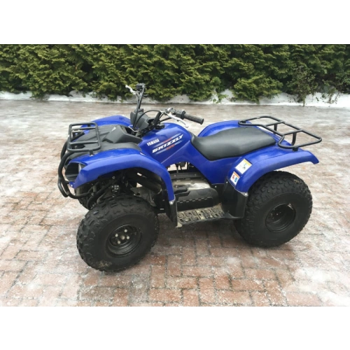 Квадроцикл GRIZZLY 125 2556394